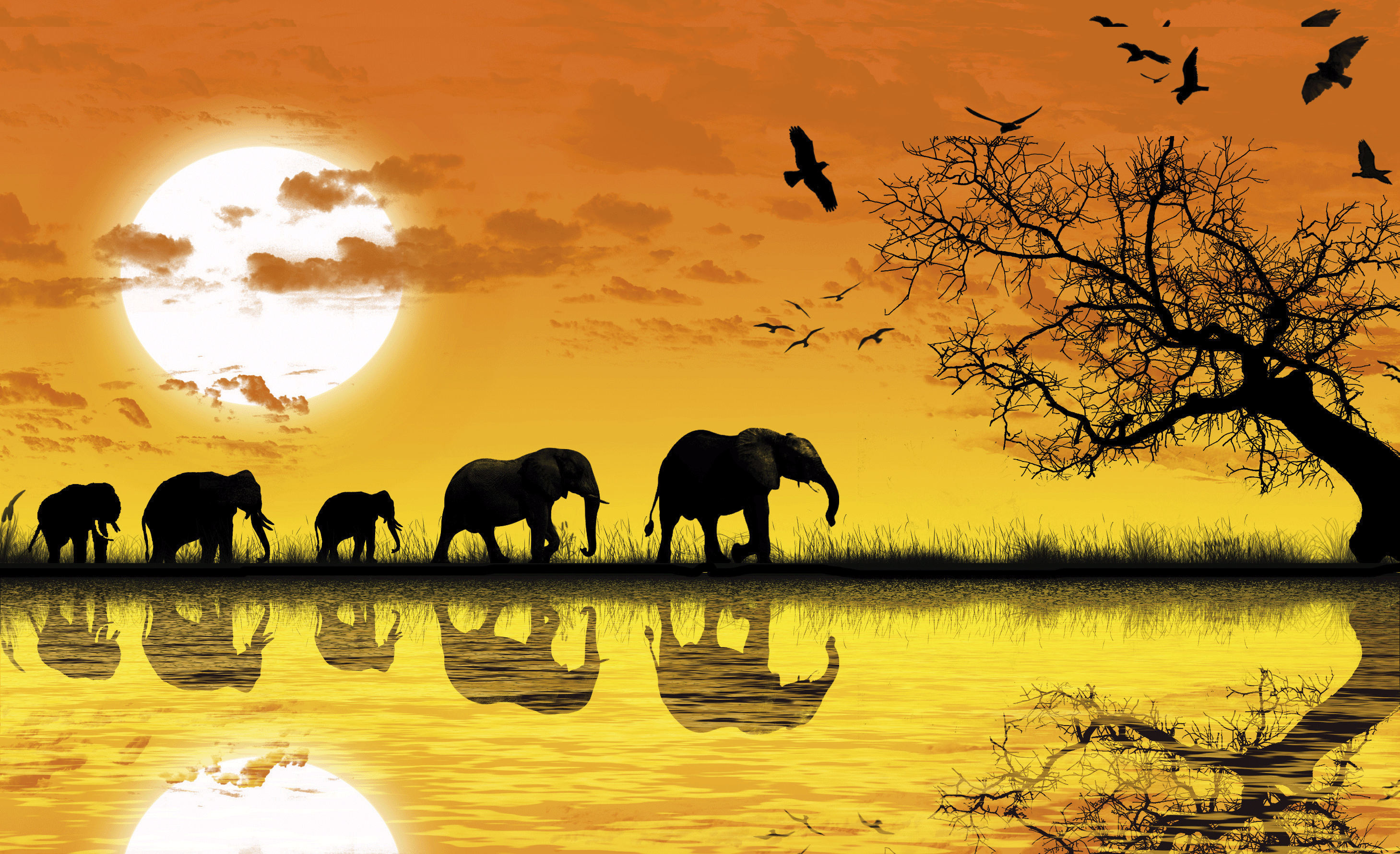 Картина слоны на закате